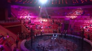 Зрительный зал Цирка Чинизелли на Фонтанке в С-Петербурге.