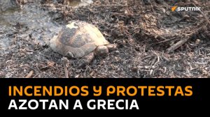 Grecia está al borde del caos por los incendios forestales y las protestas durante la última semana