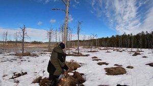 Зимняя рыбалка с ночевкой в апреле. Щука на самоловки. Закрытие сезона.