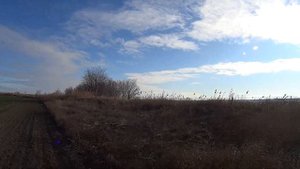 Охота на утку с подхода в каналах Охота с ТОЗ 34