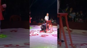 В цирке# на сцене Моржи?