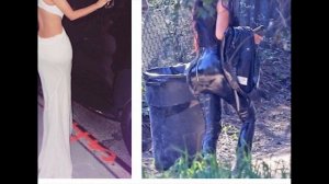 Попа Ким Кардашьян настоящая!!!