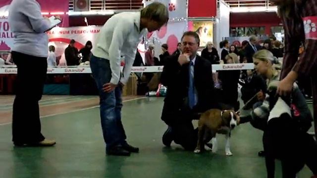 show "Sozvezdie-2007" смотреть онлайн