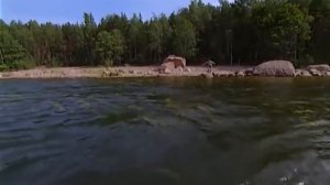Осторожно модерн 2. Трудовой лагерь Жёны поджигателей