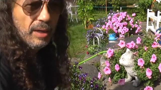 Rose Quartz Multiflora - Measuring the sweetness of a tomato смотреть онлайн