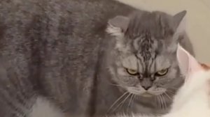 Подборка приколов!?