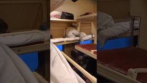 быдлопоезд !!!! быдло в поезде , часть 4