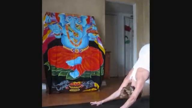 Ally Ford One leg behing the head (eka pada sirsasana) смотреть онлайн