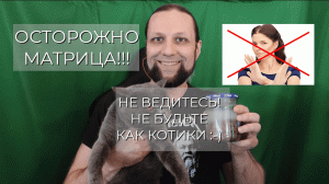 🧩 Основная задача Матрицы | 🐱 Не будьте как котики |🧘♂Включайте осознанность