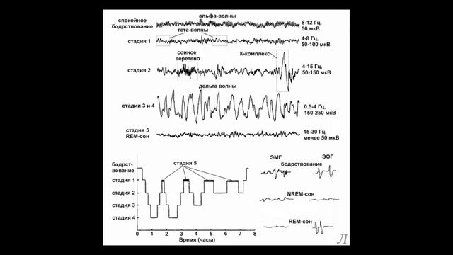 11.17.1 Подробное разъяснение. Сон. Часть первая смотреть онлайн