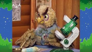 Вечер в Шишкином Лесу. Быт. Искатели приключений