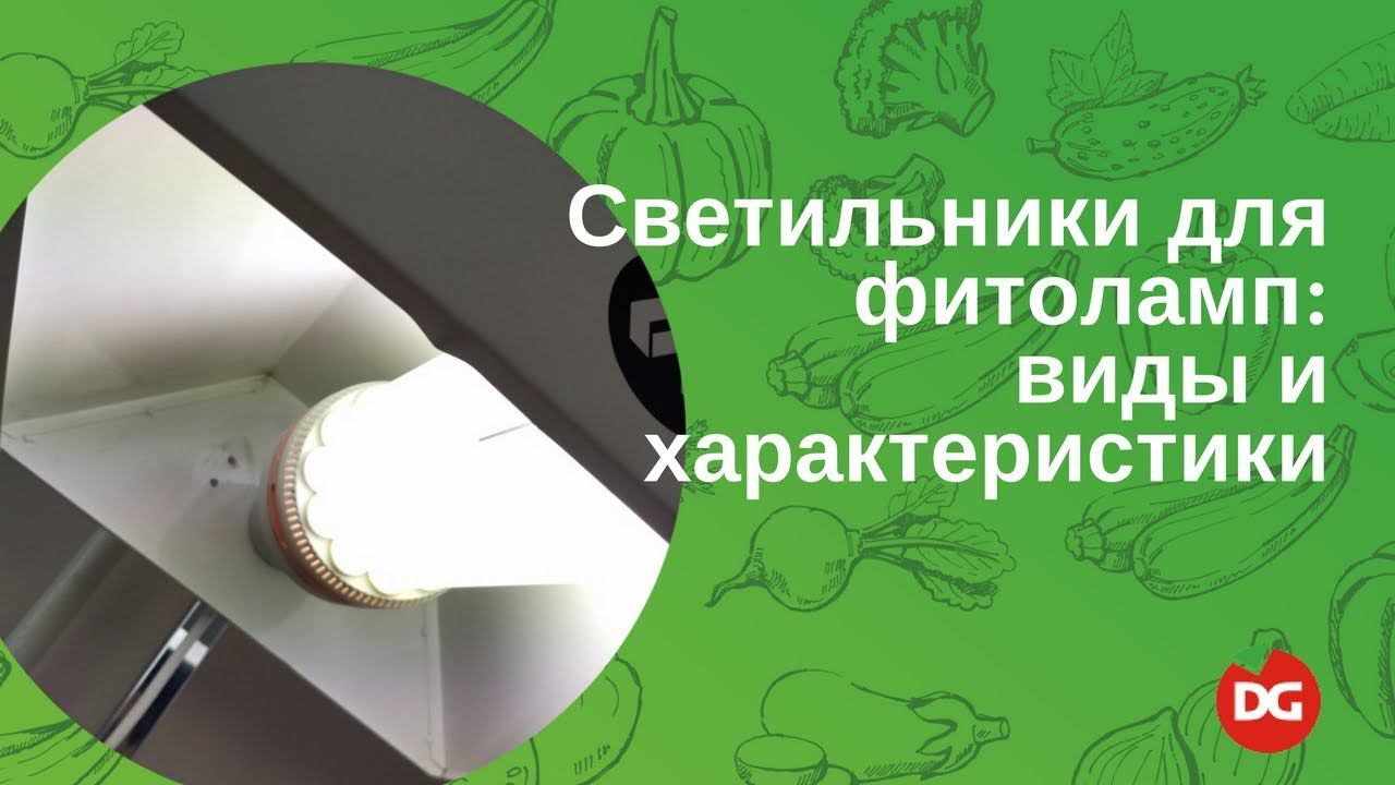 13 Светильники: виды характеристики и цены