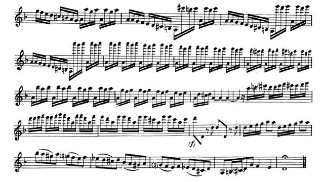 Play the Violin sheet music with Stefan Plewniak Vivaldi: Violin Concerto in D Minor RV 237