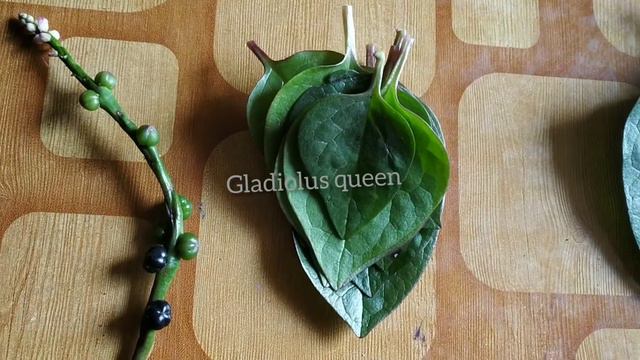 //pasalai keerai benifits from head to toes //best face mask #super body pack #simple hair mask. смотреть онлайн