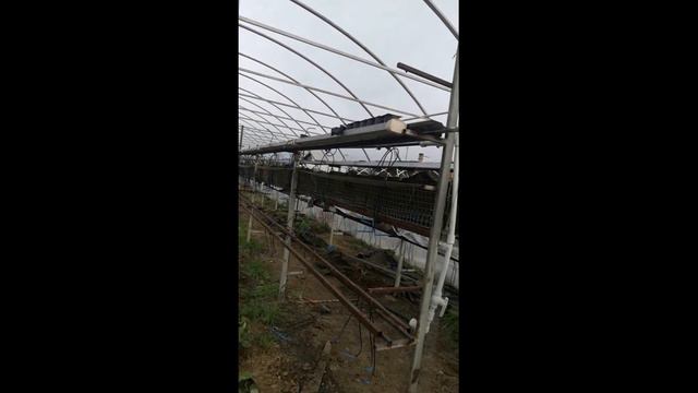 Земляника в Сибири часть 1 смотреть онлайн