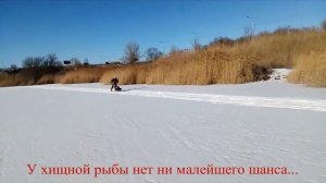 Сани на горных лыжах для рыбалки и активного отдыха.