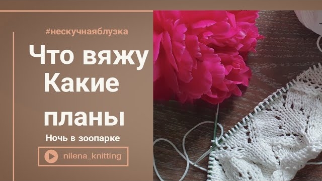 🌿Что вяжу на спицах.  Ночь в зоопарке. Влог 11.23.mp4