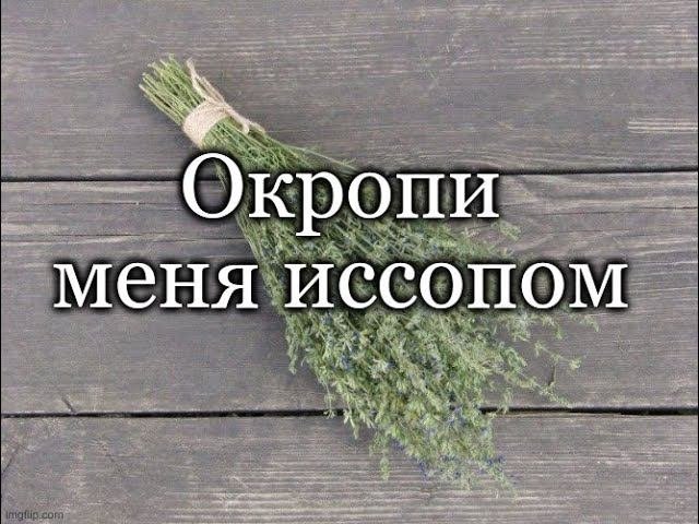 Окропи меня иссопом и буду чист