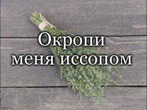 Окропи меня иссопом и буду чист