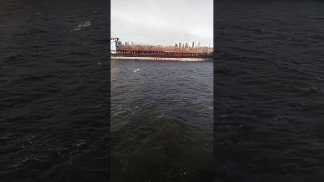 Сухогруз тип "Волжский"Ростов на Дону смотреть онлайн