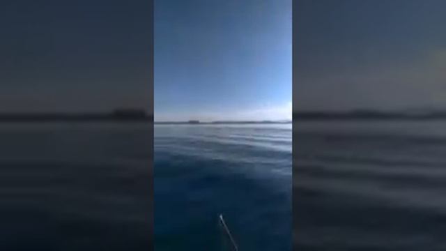 МОРСКАЯ РЫБАЛКА В АНАПЕ. ВСТРЕЧА С ДЕЛЬФИНАМИ.