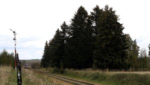 ДМ62 1834 у входного семафора станции Ранцево Октябрьской железной дороги.