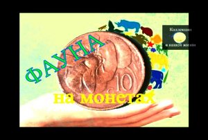 Фауна на монетах.mov