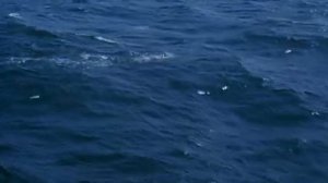 "Восток-Запад" (1999 год) - Сергей Бодров переплывает Чёрное море