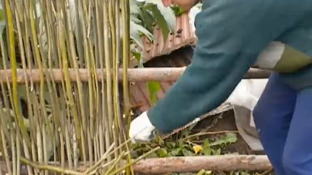 DSCN3067 смотреть онлайн