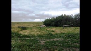 Сосновка, Бековский район, Пензенская область. Николай Омонов