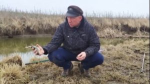 Ахтуба рыбалка Удачное Апрель 2021