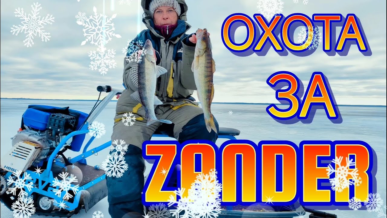 3 ДНЯ В ПОГОНЕ ЗА СУДАКОМ! ЩУКИ-МОНСТРЫ в прилове! ОКУНЬ рвëт раттлин! смотреть онлайн