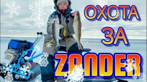 3 ДНЯ В ПОГОНЕ ЗА СУДАКОМ! 
ЩУКИ-МОНСТРЫ в прилове!         
ОКУНЬ рвëт раттлин!