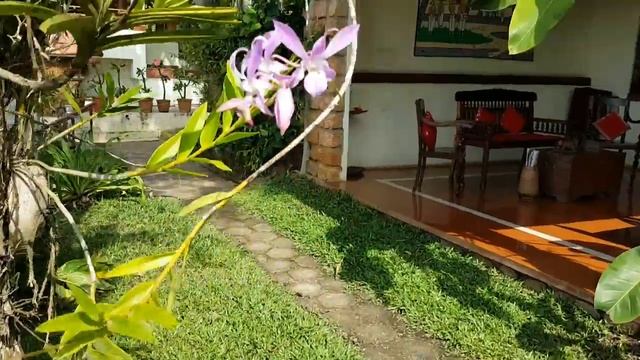 #Керала храм Шивы #AazhimalaSiva #цветы в отеле #nikkisnest Часть 1 смотреть онлайн