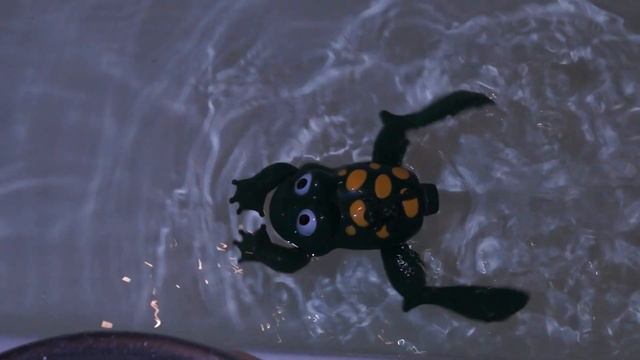 Шустрик плавает смотреть онлайн