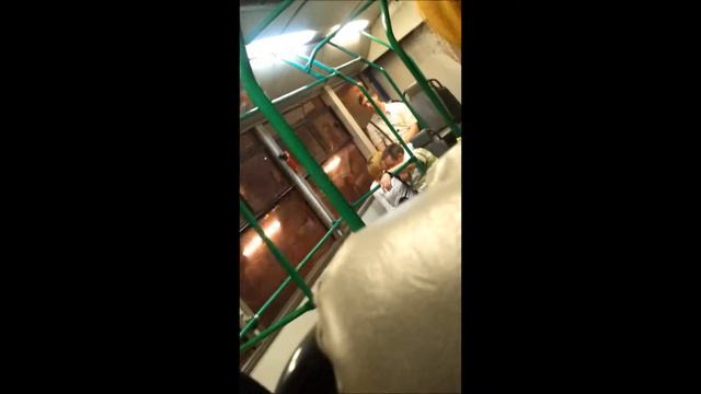пьяный мужик признается в любви в автобусе