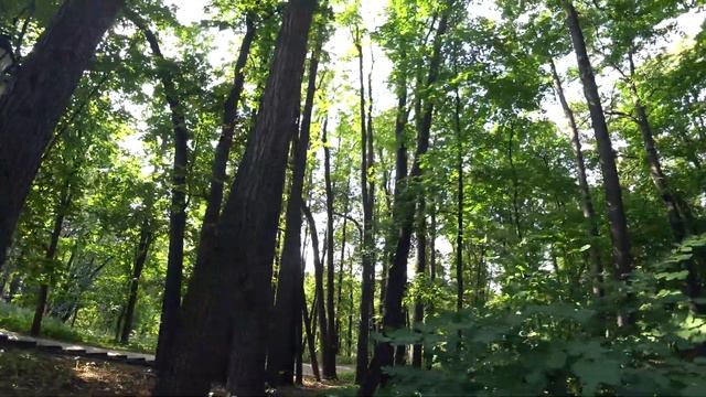 ПАРК ЦАРИЦЫНО. МОСКВА. ПРОгулка