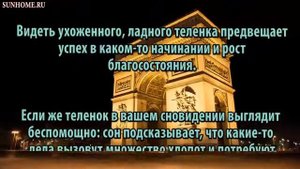 К чему снится Теленок сонник, толкование сна