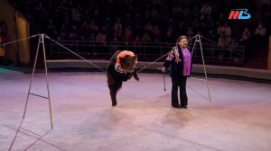 Цирк “Аливрувер“ в Волгограде