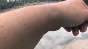 Спиннинг для микроджига под мультипликаторную катушку!