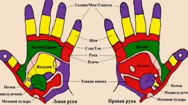 Секреты долголетия - грецкими орехами . смотреть онлайн