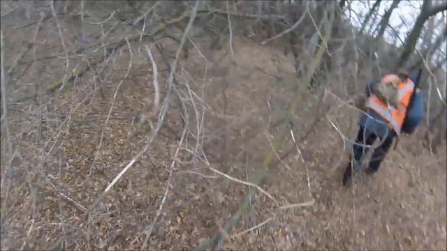 Первый зайчик сезона 2019 смотреть онлайн