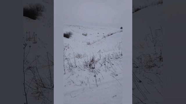 Динго Т150: проводы календарной зимы смотреть онлайн