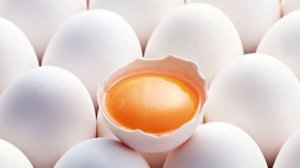 Что, если съедать одно яйцо каждый день?