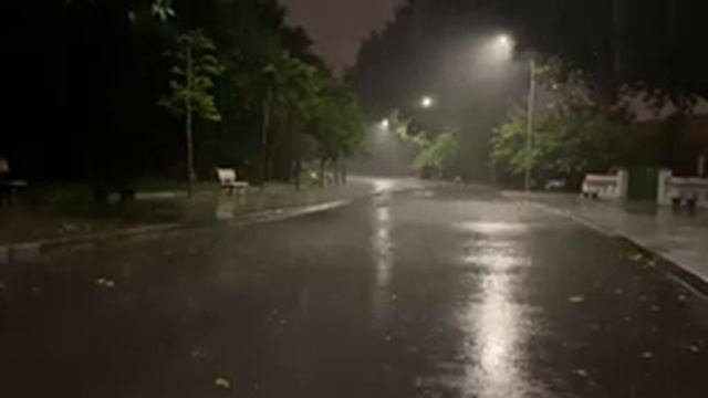 99% мгновенно засыпают - Шум дождя на крыше в тропическом лесу - Звуки дождя и грома для сна смотреть онлайн