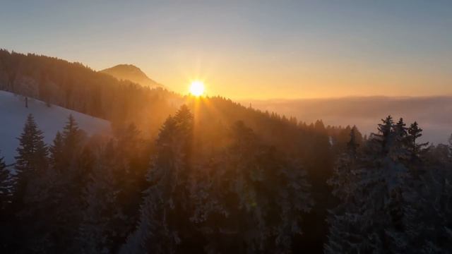 Hermosa Melodía Hasta Las Lágrimas! Restauración Del Sistema Nervioso!
