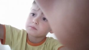 палочники и линька