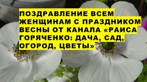 Необычное поздравление с праздником Весны всем женщинам от канала "Раиса Горяченко: дача, сад, огоро