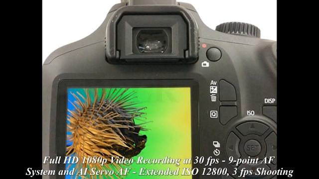 Best DSLR Camera 2023 (TOP 3 Picks For Any Budget ) Promarkit смотреть онлайн