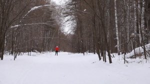 ТЕХНИКА КОНЬКОВОГО ХОДА. Собственный анализ.